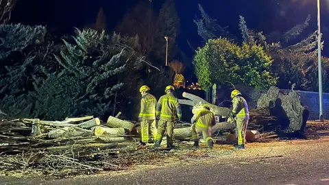 caiguda d'arbres a Puigcerd&agrave; 1