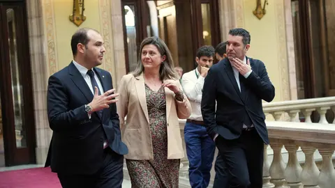 Aran Llei singularitat 1