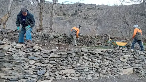 Cam&iacute; entre Lladr&oacute;s i Pui Tabaca 1