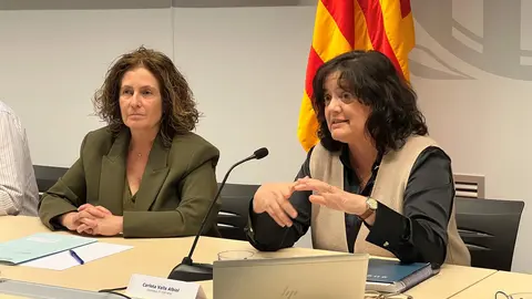 Consell Escolar Territorial Alt Pirineu i Aran 1