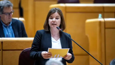 La senadora republicana Sara Bailac durant una intervenci&oacute; (1)