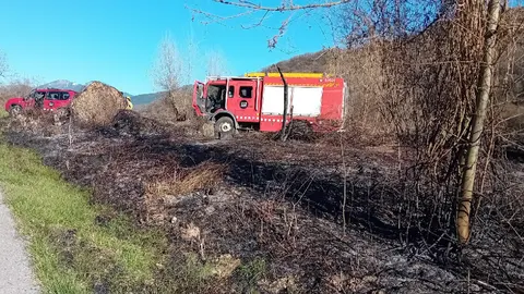 Seur&iacute; foc de vegetaci&oacute;
