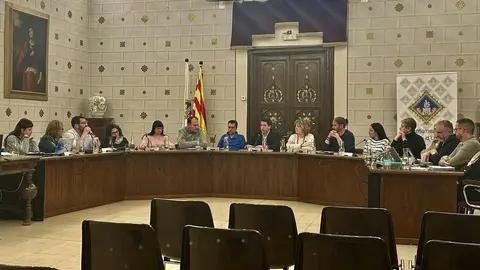 Ple extraordinari de pressupostos R&Acirc;DIO SEU