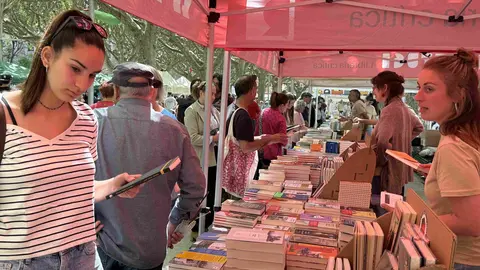 Sant Jordi 2026 la Seu 3