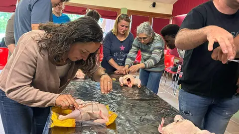 EA Pallars formaci&oacute; veterin&agrave;ria 2