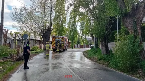 Arbre Puigcerd&agrave; Bombers