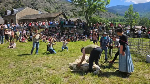 13a Fira del Parc Natural de l&rsquo;Alt Pirineu i l&rsquo;Auvella Aranesa 1