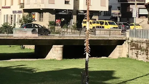 Plantada Falla Major de Sort 2
