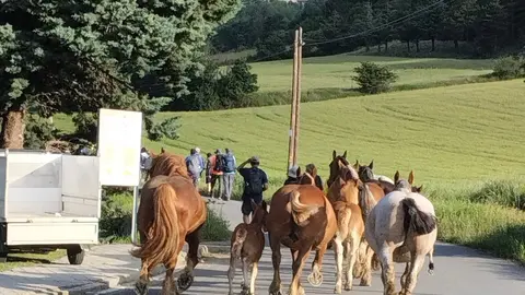 Transhum&agrave;ncia Ll&iacute;via 2026 1