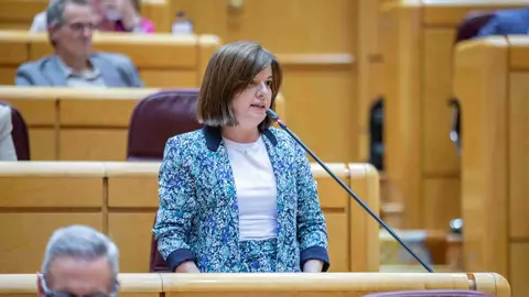 La senadora Sara Bailac durant una intervenci&oacute; al ple