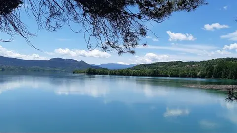 Pant&agrave; de Sant Antoni 5