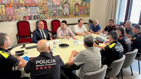 Junta Local Seguretat la Seu-3