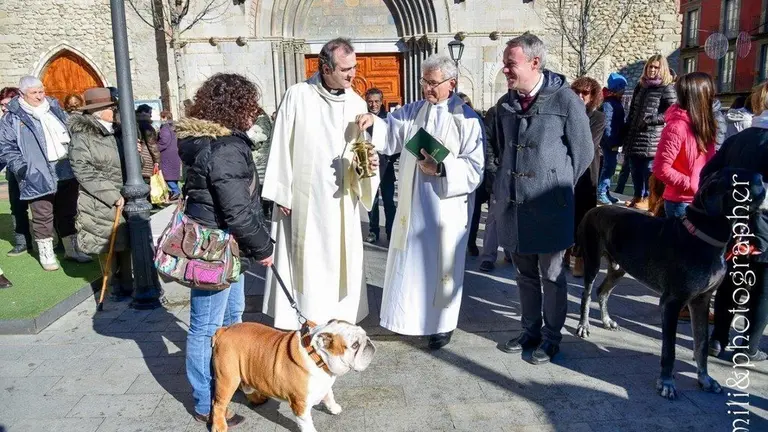 Missa i benedicci&oacute; d'animals Sant Antoni.