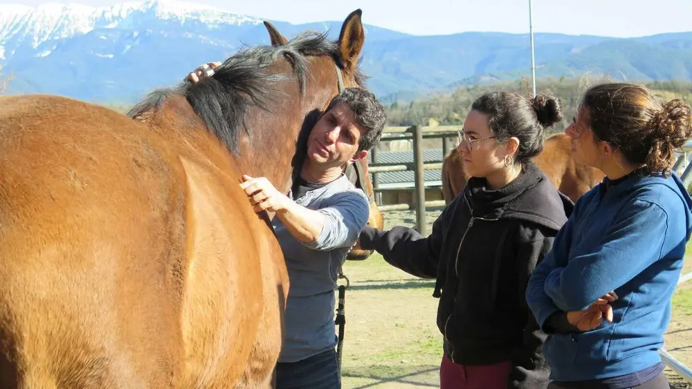 EAP curs activitat equina 1
