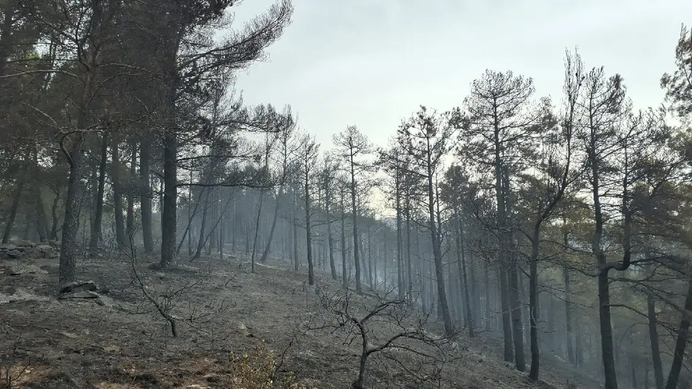 Incendi Talarn
