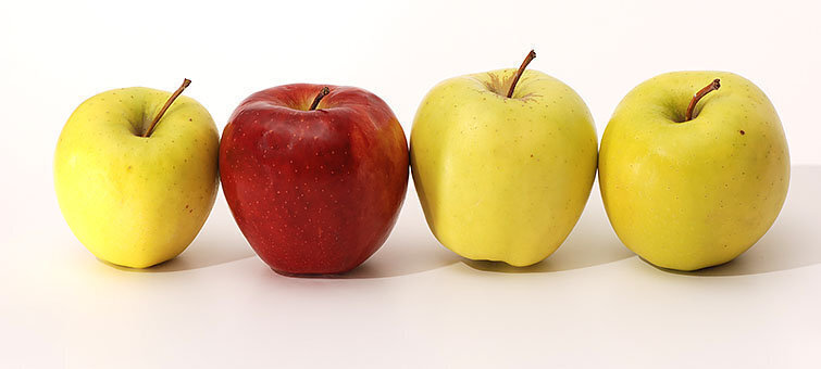 Recuperen les varietats Golden i Granny Smith, per elaborar sidra