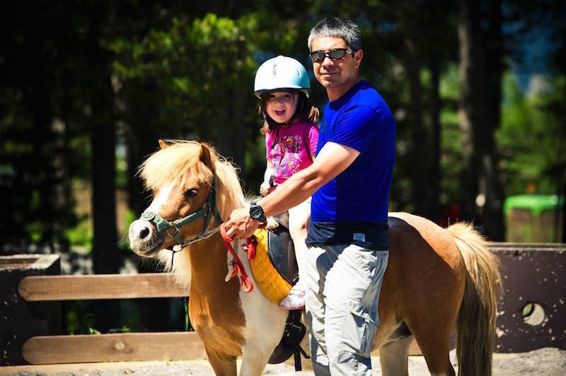 ponis
