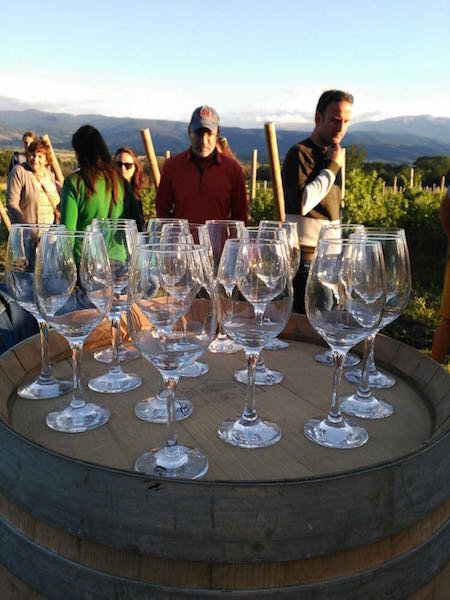 Degustació_La_Vinya_de_Llivia