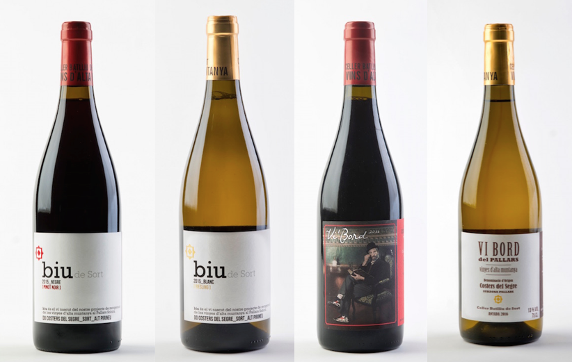 Vins