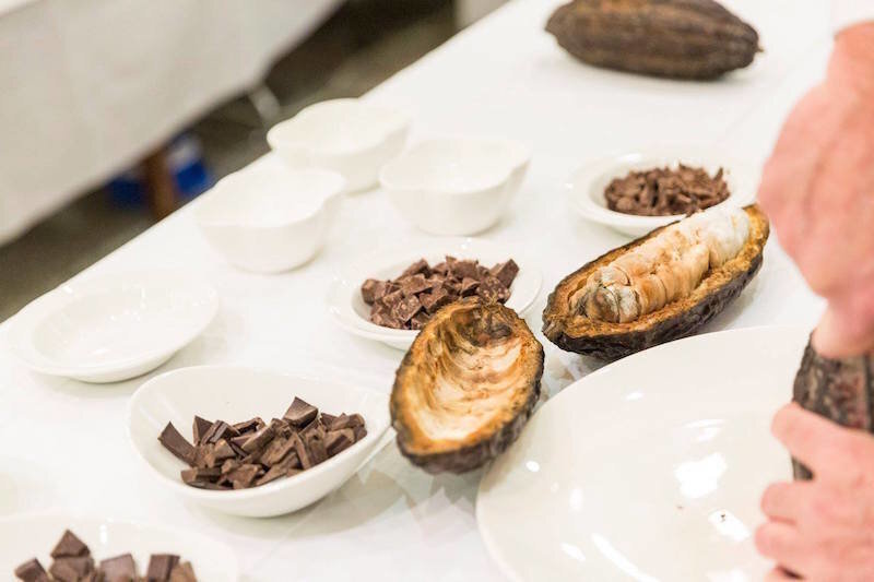 Curs Xocolata 5