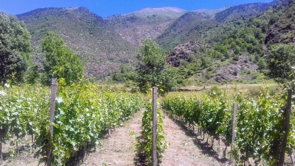 Costers de Monteixo