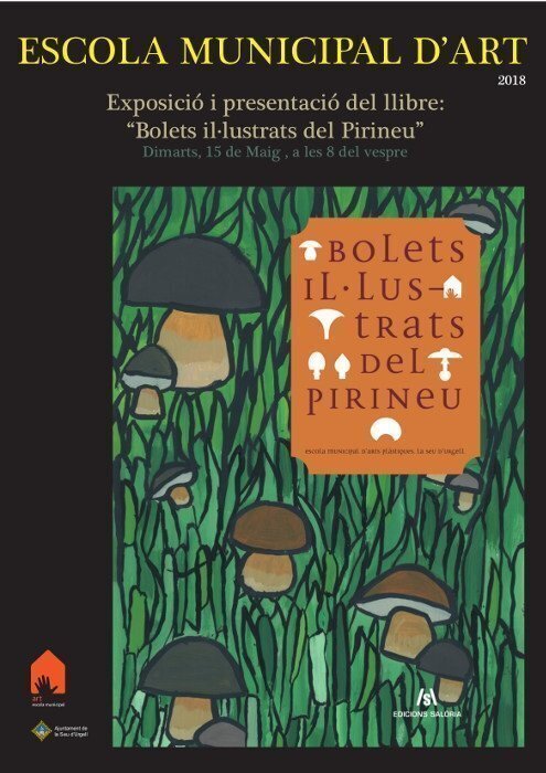 CARTELL expo BOLETS ILptt (1)
