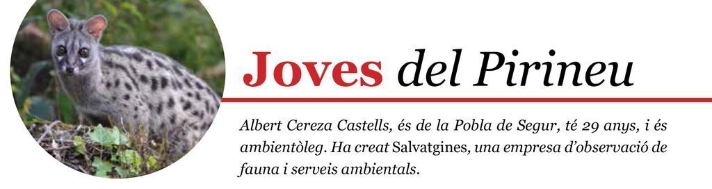 Joves Albert Cereza