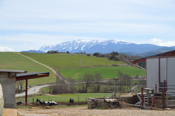 Explotació agrària al Pirineu 2