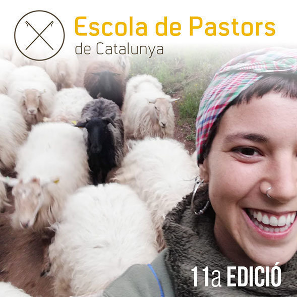 imatge-escola2019-16 (1)