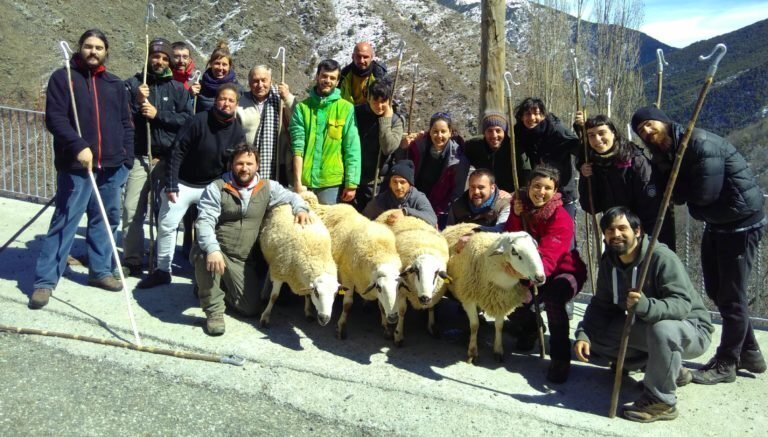 Escola Pastors 3
