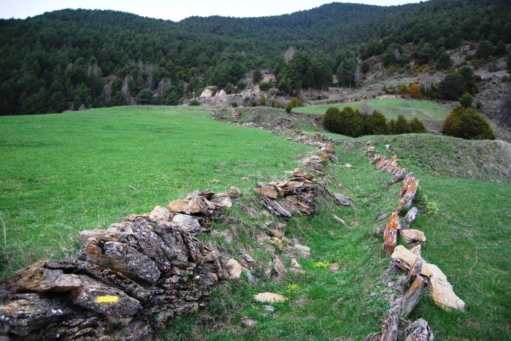 Camins
