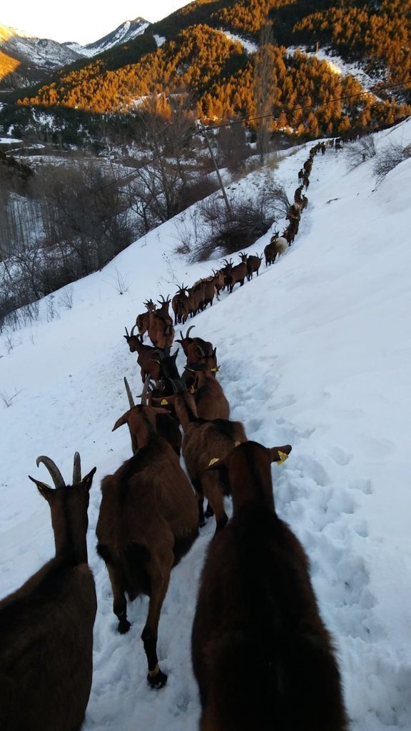 IMG-20190204-WA0005