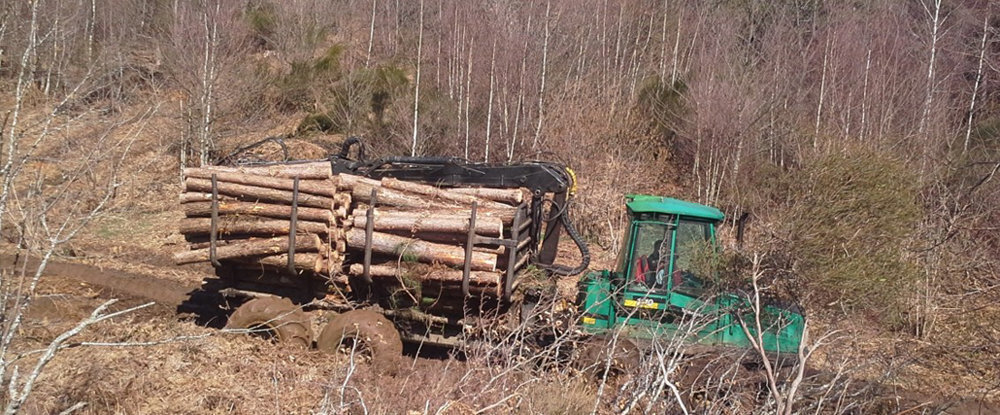 Explotació forestal