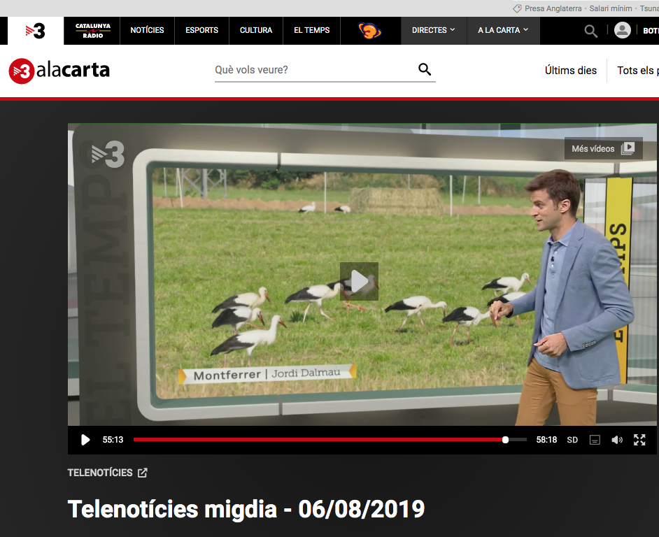 Cigonyes TV3 Jordi Dalmau
