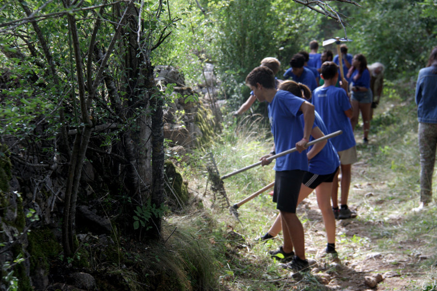 Pla general d'un grup de participants del camp de treball de Bellver de Cerdanya desbrossant un tram del camí que uneix els pobles de Pi i Olià, el 27 d'agost de 2019 (Horitzontal).