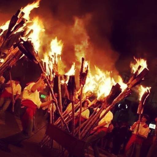 Falles 2014 la Pobla