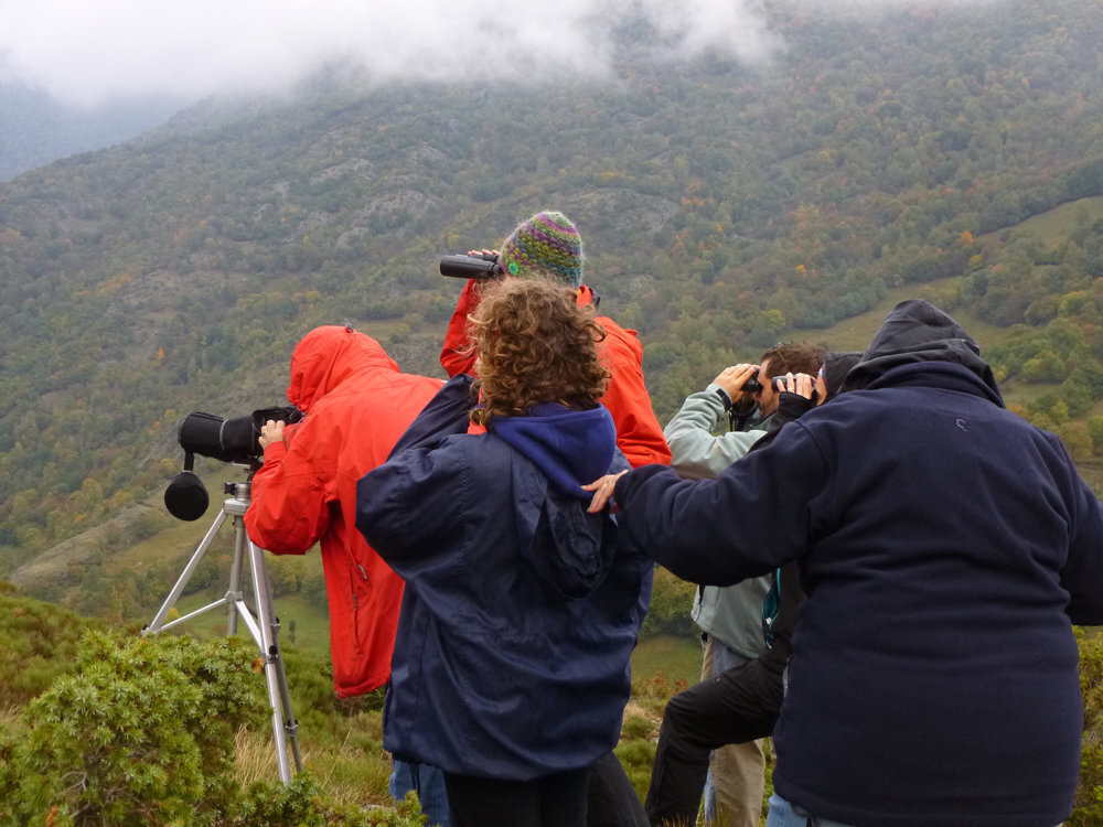 Turismes gaudint de la brama del cérvol. (Horitzontal)