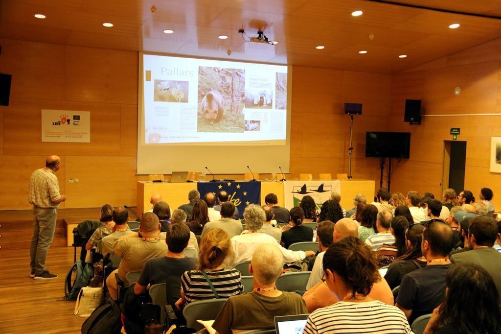 Pla general de la sala on s'han fet les Jornades t√®cnic-cient√≠fiques sobre el retorn dels grans carn√≠vors a zones de muntanya amb m√©s de 200 assistents el 20 de setembre del 2019. (horitzontal)