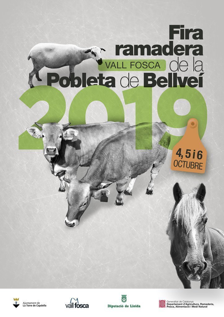 Cartell Fira 2019