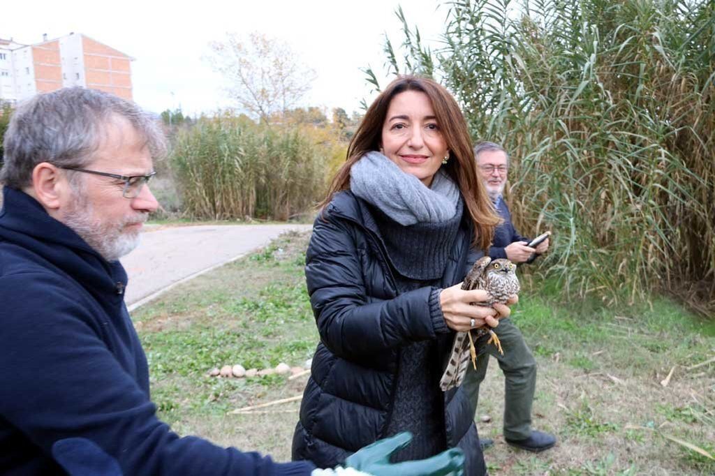 La secretària de Medi Ambient, Marta Subirà, alliberant dun exemplar d'esparver comú recuperats per part del Centre de Fauna de Vallcalent el 22 de novembre del 2019. (horitzontal)