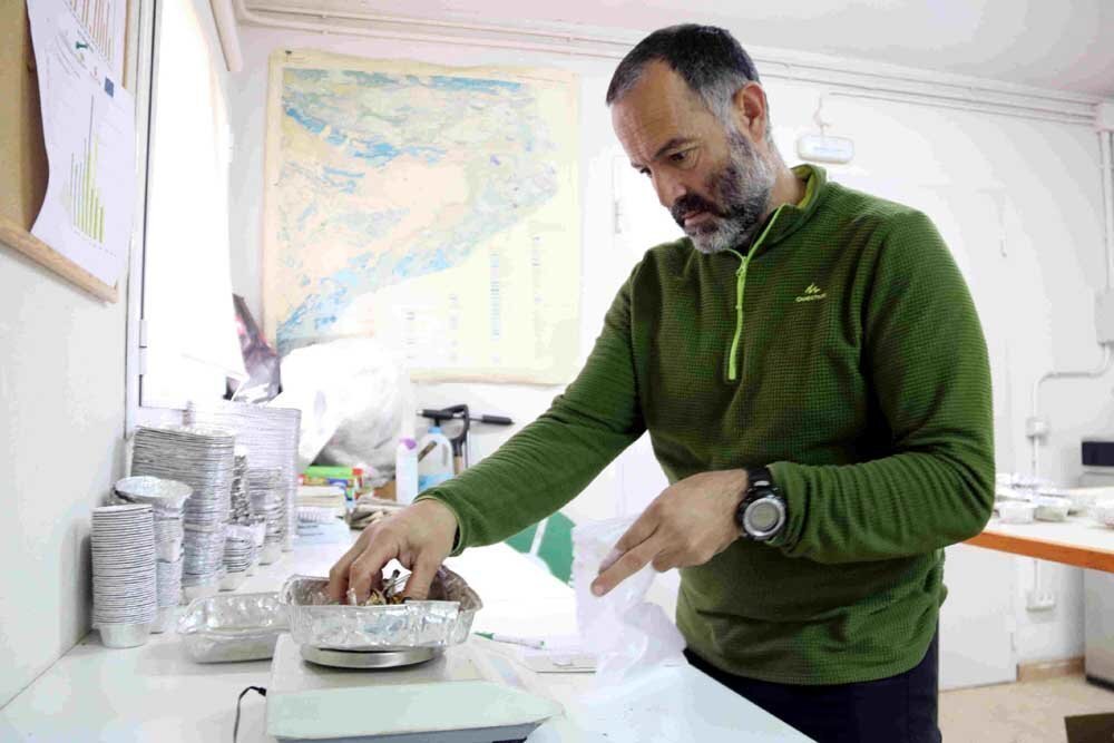 Pla mitjà de l'investigador expert en bolets, Juan Martínez de Aragón, al laboratori del Centre de Ciència i Tecnologia Forestal de Catalunya. Imatge publicada el 24 de novembre del 2019. (Horitzontal)