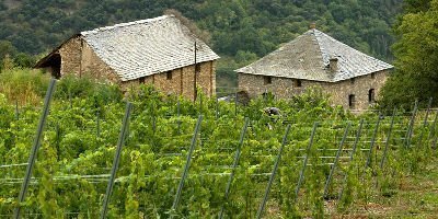 Celler Batlliu de Sort
