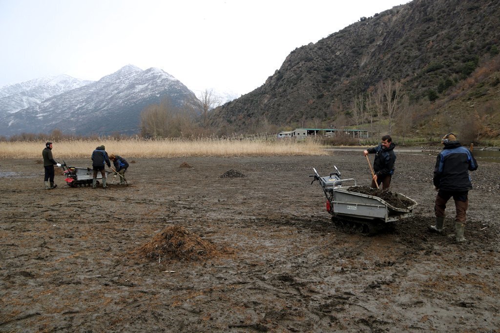 Pla general d'operaris retirant una planta invasora aquàtica del pantà de la Torrassa, al Pallars Sobirà, el 4 de març del 2020. (horitzontal)