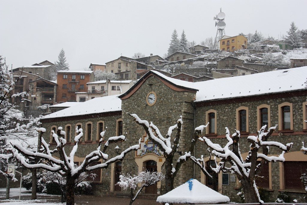 Pla general on es veu l'acumulació de neu als arbres i teulades de diverses cases de Martinet (Cerdanya) i l'edifici de l'escola, tancada al públic com a mesura preventiva pel coronavirus. Imatge del 25 de març de 2020 (Horitzontal).