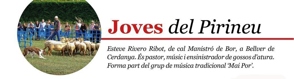 JOVES