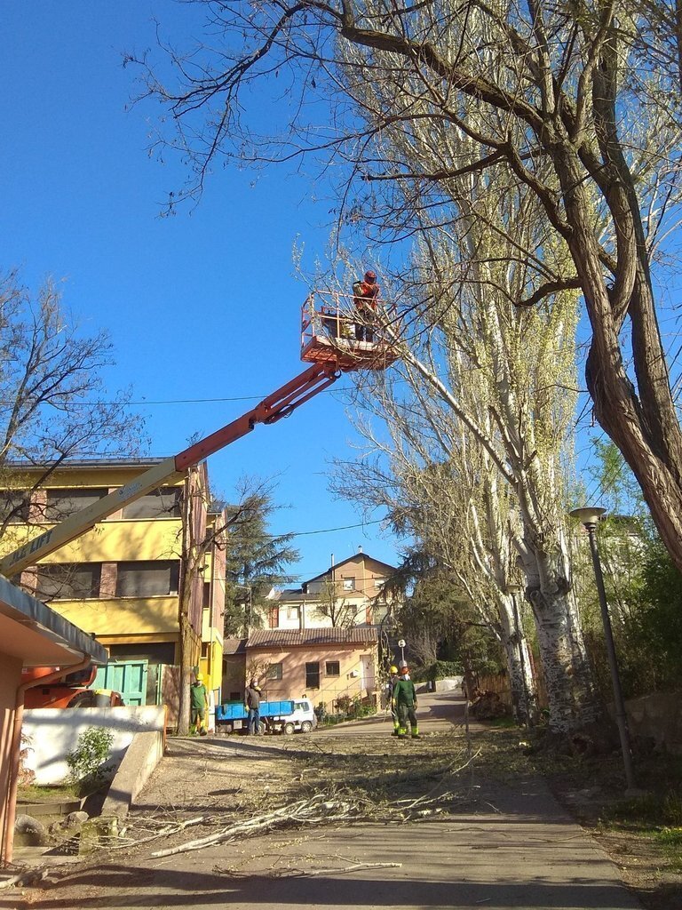 image (2)