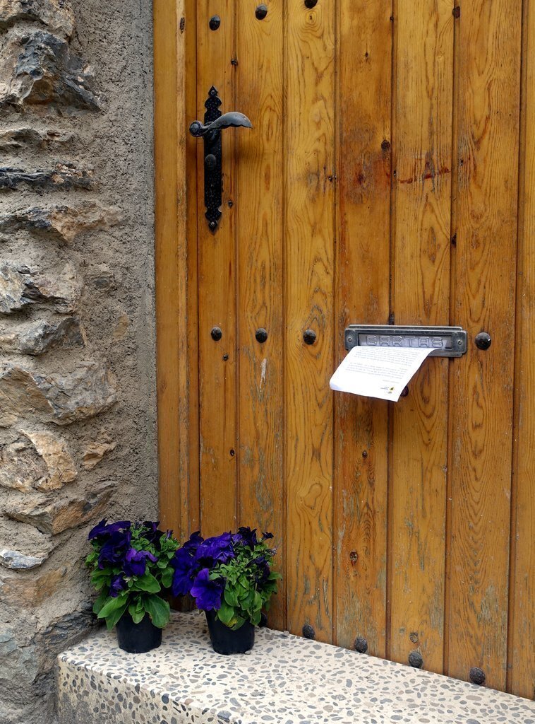 Imatge de detall de dos flors a la porta d'una casa del municipi de Sort el 15 d'abril del 2020. (vertical)
