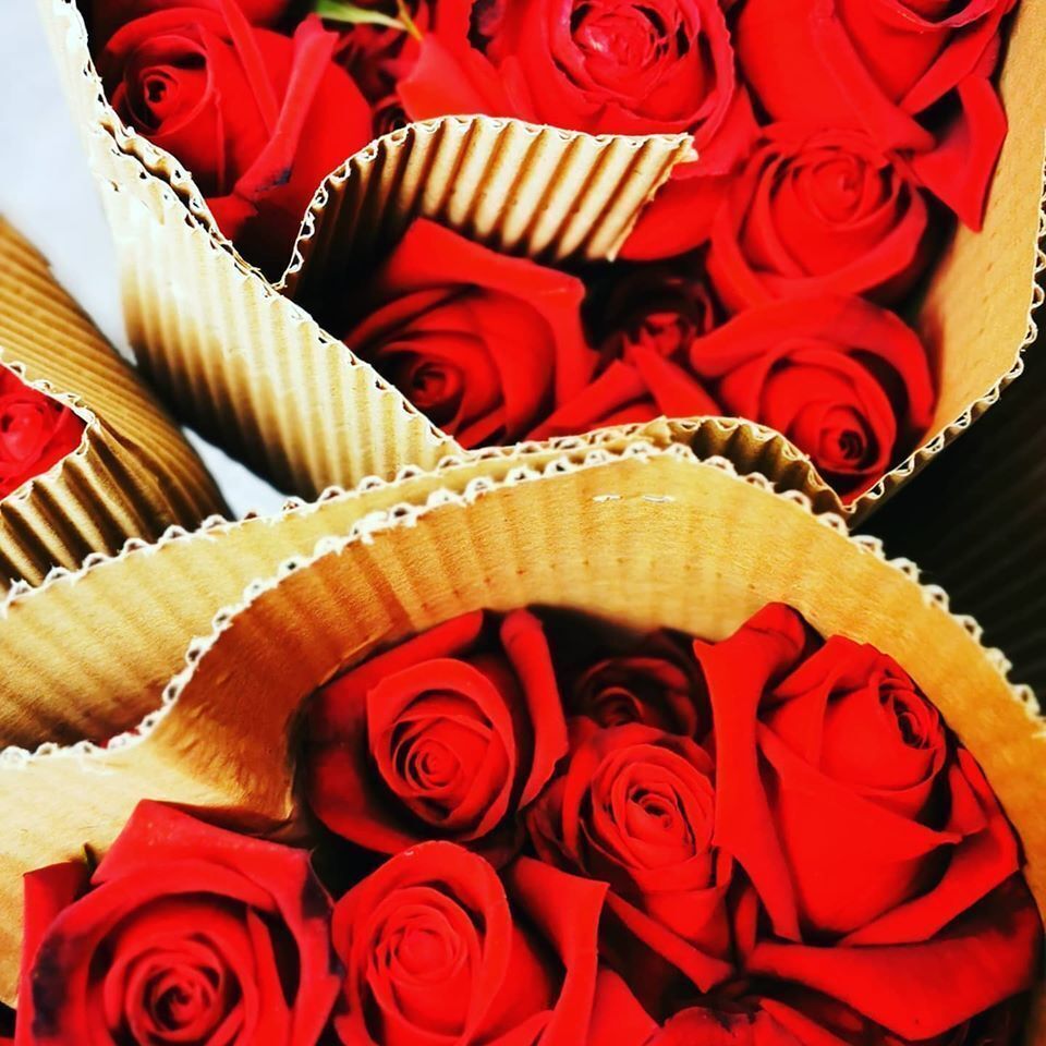 Roses