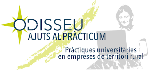 Practicum Odisseu