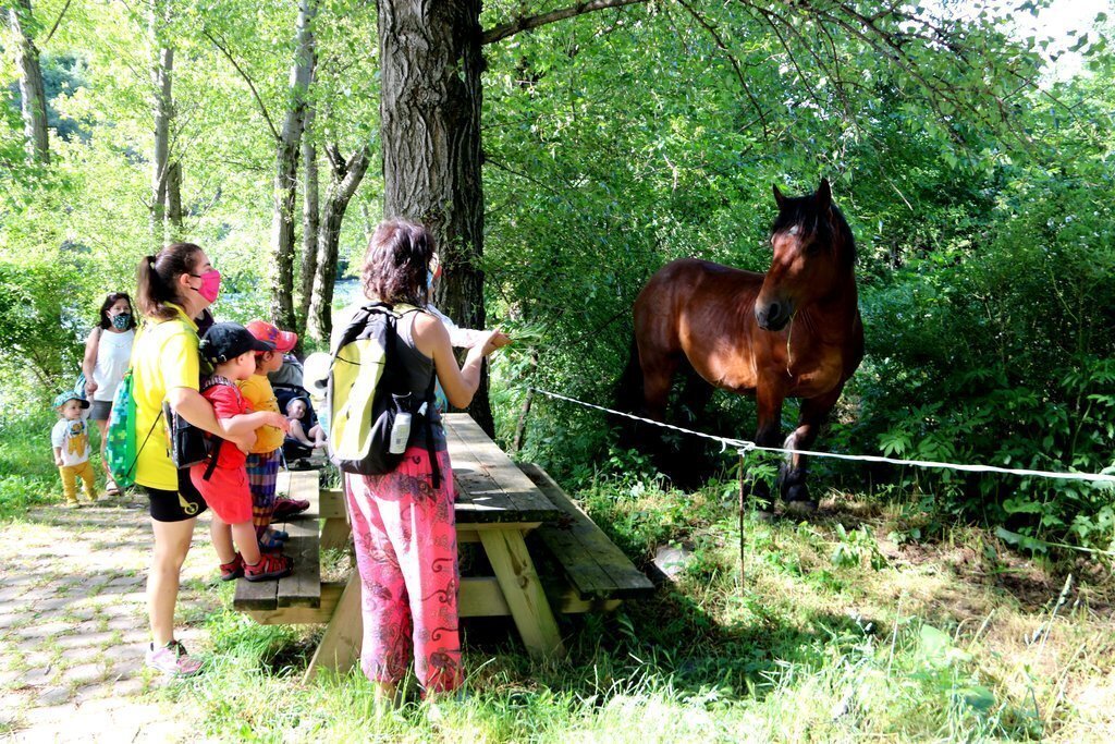 Els infants de la llar d'infants Els Malfargats de Rialp observant un cavall que s'han trobat durant la caminada que han fet vora el riu l'1 de juny del 2020. (horitzontal)